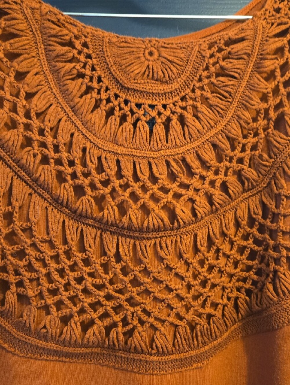 Daytrip Burnt Orange Crochet-Back Shell - Picture 4 of 4